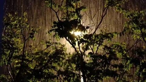 The view of rain falling during the night Vidéo 138551102