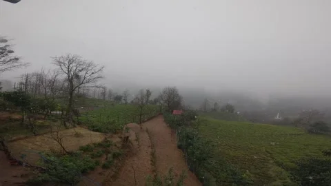 View of rain falling on tea garden and mountains in rainy weather Stock Footage 301802409