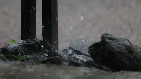View Rain Stock Footage 240511581