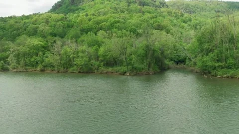 View of rain forest Video stock 243326451