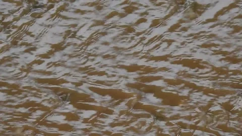 View of rain water flow on the muddy ground Stock Footage 149310800