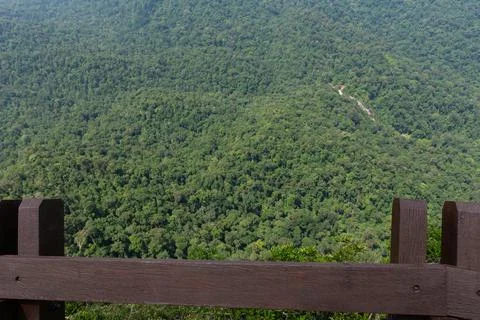 View of the rainforest below from the observation deck Stock Photos