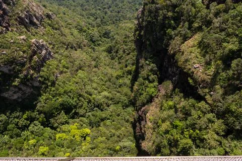 View of the rainforest from Skybridge Stock Photos