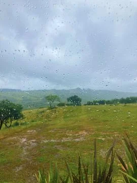 View of a rainy day through the window Stock Photos
