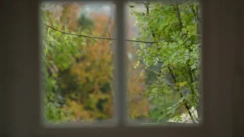 View on rainy weather from the room through the window, with change of focus Stock Footage 255788112