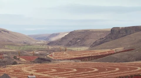 View of ranch in Arlington Stock Footage 54593599