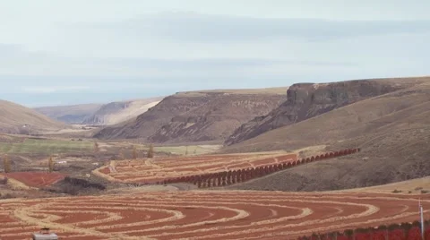 View of ranch in Arlington Stock Footage 54593605