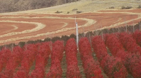 View of ranch in Arlington Stock Footage 54593613