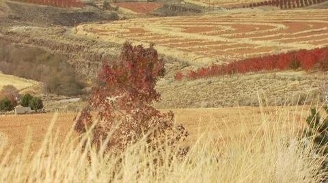 View of ranch in Arlington Stock Footage 54593828