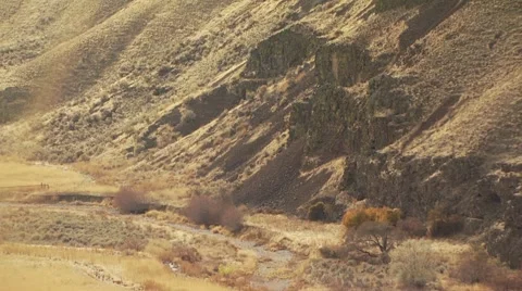 View of ranch in Arlington Stock Footage 54593830