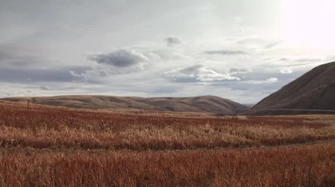 View of ranch in Arlington Stock Footage 54593856