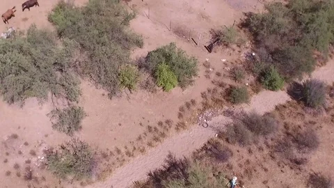 View of a ranch drone Stock Footage 81770536