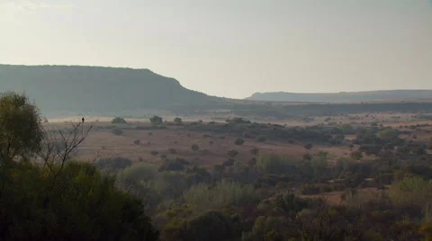 View of ranch Stock Footage 54591065