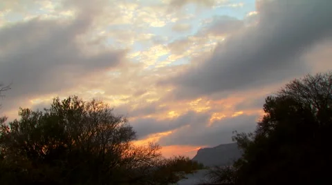 View of ranch at sunrise Stock Footage 54591022