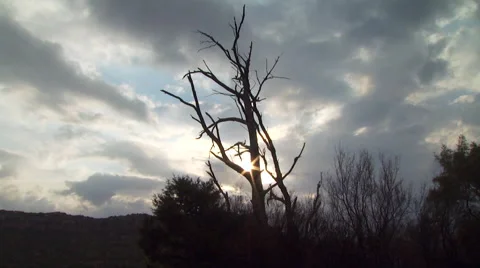 View of ranch at sunset Stock Footage 54591016