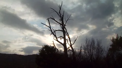 View of ranch at sunset Stock-Footage 55300473