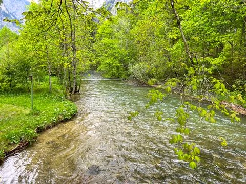 View of a rapid mountain river filled with water from melting snow Stock Photos