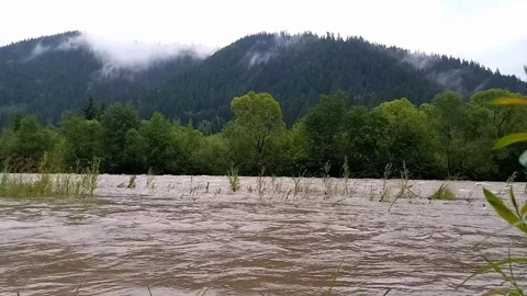 View of rapidly flowing water of Cheremosh mountain river during rain in summer. Stock Footage 280322831