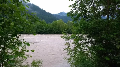 View of rapidly flowing water of Cheremosh mountain river during rain in summer. Stock Footage 280322911
