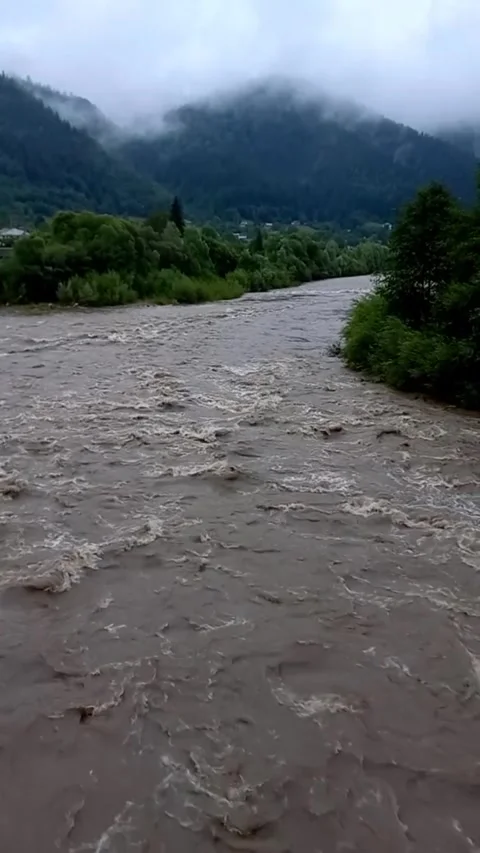 View of rapidly flowing water mountain river during rain in summer. Video stock 280322923