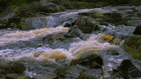 View on rapids of raging river Video stock 51513347