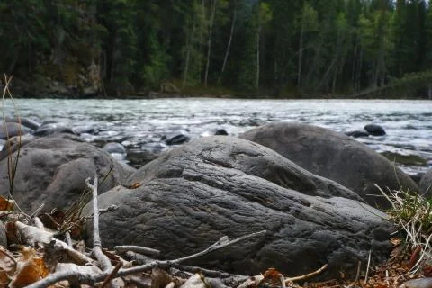 View of the rapids in the river. Wells Gray Provincial Park of British Columbia Foto stock