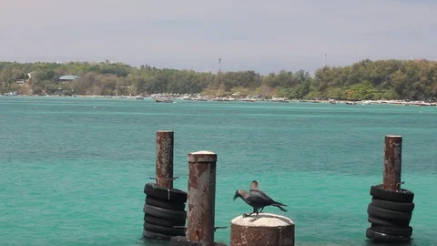 View on Rawai beach and pier. Tropical landscape. Stock Footage 126596265