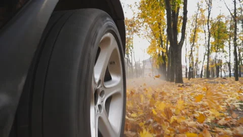 View from rear wheel of powerful SUV driving on park road over yellow leaves Stock Footage 109482029
