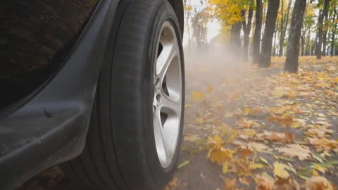 View from rear wheel of powerful SUV driving on park road over yellow leaves Video stock 321347743