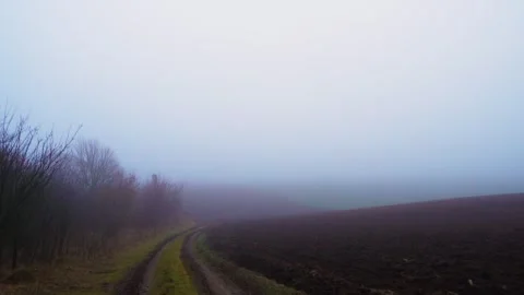 View from the rear window of a car onto a dirty country road. Stock-Footage 296236573