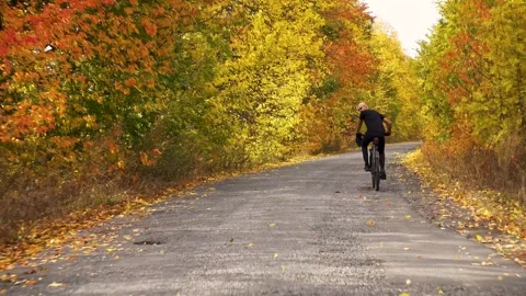 View from the rear window of the car onto a forest autumn road with a cyclist. Video stock 253739992