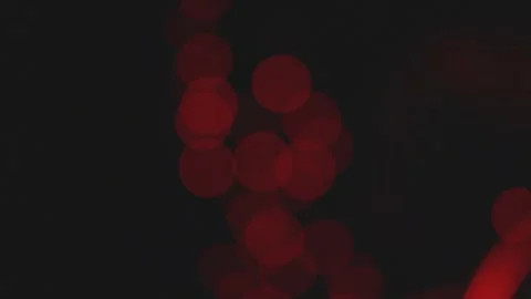 View Of Red Blurry Lights Making Fast Blink Pattern On Dark Background Stock Footage 278261304
