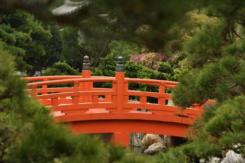 View of a red bridge inside Nan Lian garden in Hong Kong Stock Photos
