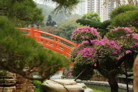View of a red bridge inside Nan Lian garden in Hong Kong Stock Photos