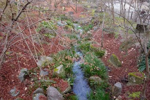 View from a red bridge over the river that runs through a garden in a shrine Stock-Fotos