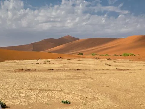 View on the red dunes on the way to Big Daddy, The tallest dune in Sossusvlei Stock Photos
