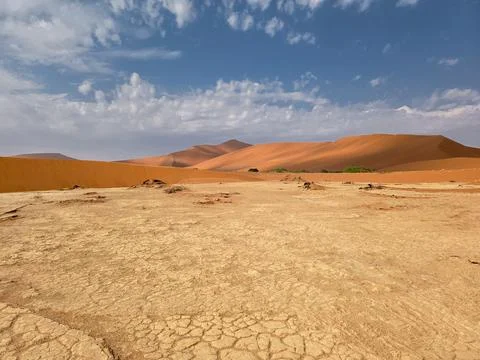 View on the red dunes on the way to Big Daddy, The tallest dune in Sossusvl.. Stock Photos