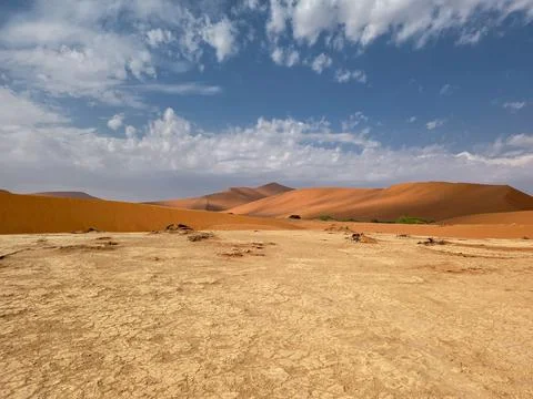 View on the red dunes on the way to Big Daddy, The tallest dune in Sossusvl.. Stock Photos