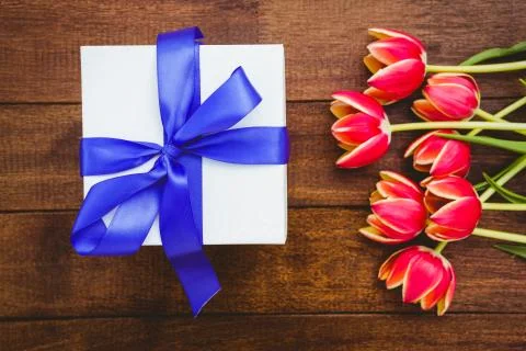View of red flowers and blue gifts Stock Photos