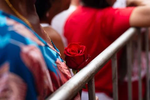 View of a Red Rose on the Chest of a Devotee during the Feast of Saint Barb.. Stock Photos