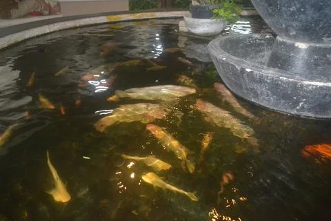 View of reflection of light falling on the surface of the water Stock Photos