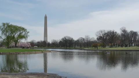 View on reflection of Washington Monument in Washington DC Vidéo 61472911