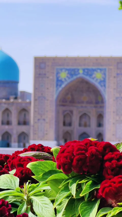 View of The Registan Square. Ulugh Beg Madrasah Stock Footage 301562690