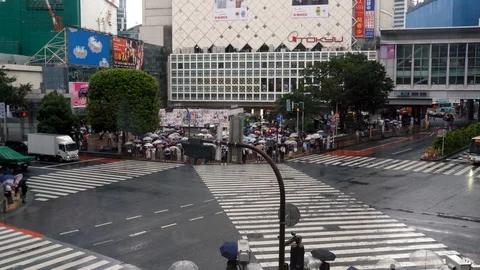 View of regular rainy day in Shibuya crossing, crowded of people. Tokyo, Japan. Stock Footage 126730509