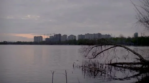 View of residential buildings through the branches, across calm lake water. Stock Footage 154812640