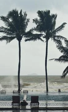 View from a resort pool, through palm trees to the ocean, in a tropical storm Stock Photos