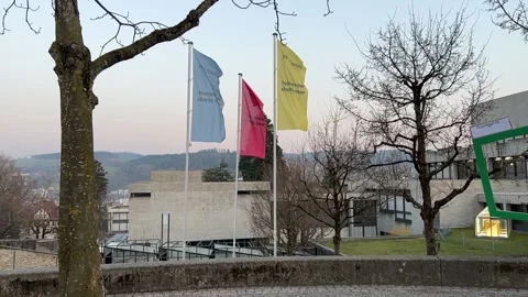 View from rest place to three flags of the University Stock Footage 176918001