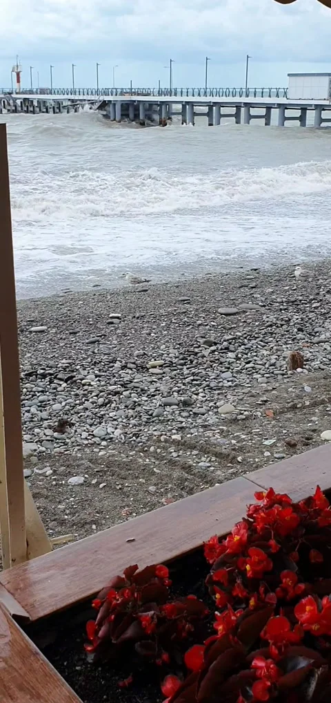 View from the restaurant to the waves of the sea. bird seagull Stock Footage 230872050