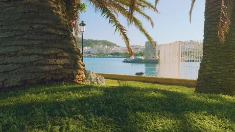 View of restored towers through palm stems Stock Footage 86708361