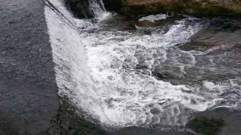 View of Rhine Falls Stock Footage 247036490
